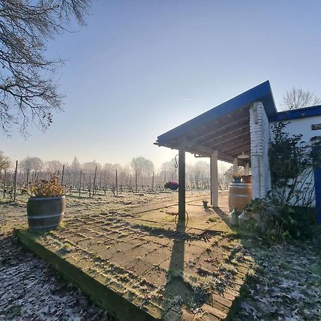 Wijnstaete Bed & Breakfast Lemelerveld Dış mekan fotoğraf