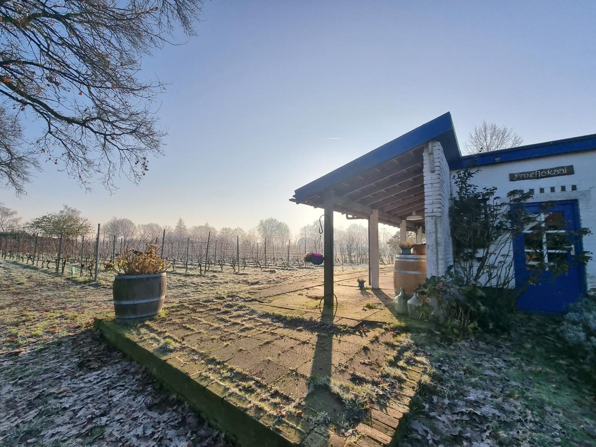 Wijnstaete Bed & Breakfast Lemelerveld Dış mekan fotoğraf