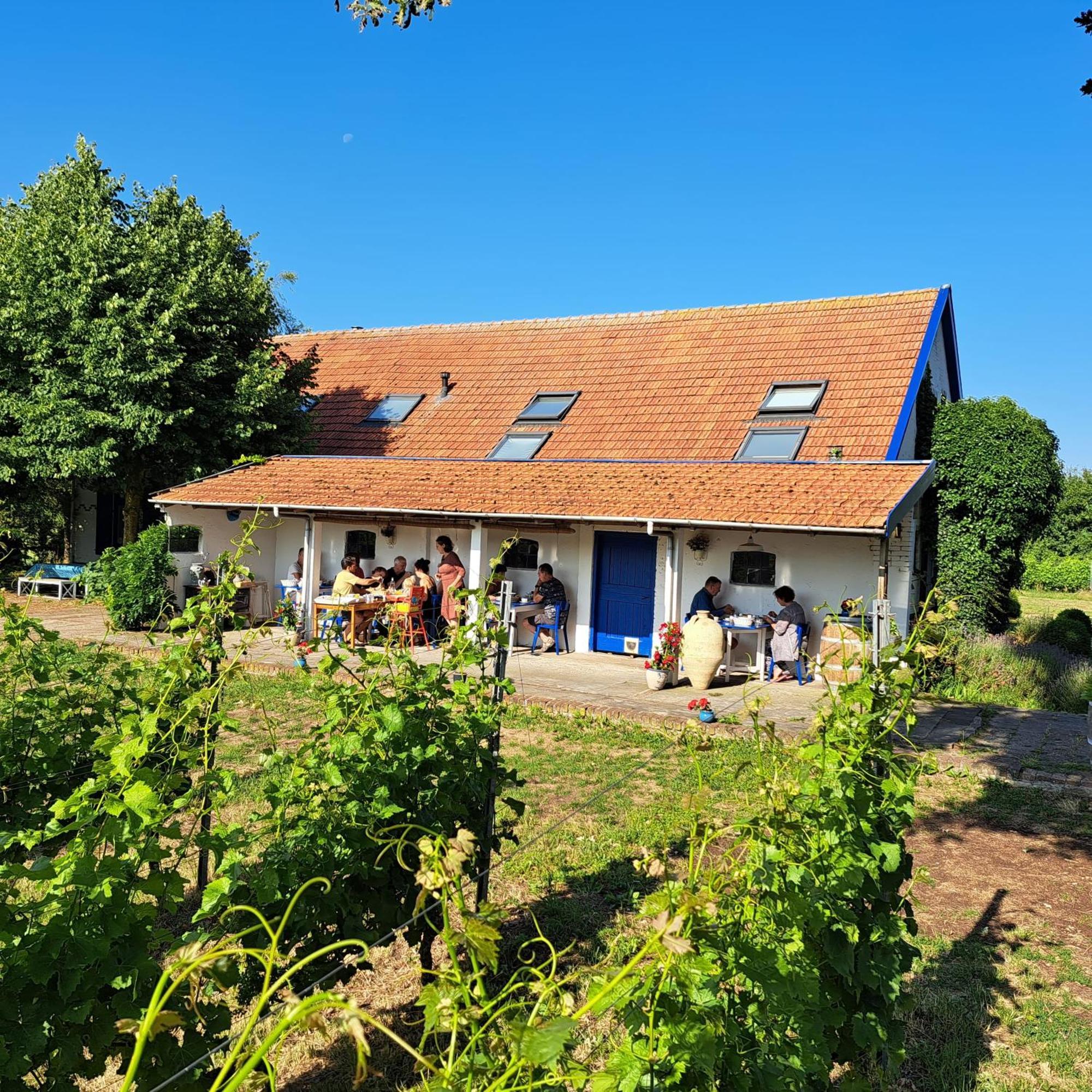 Wijnstaete Bed & Breakfast Lemelerveld Dış mekan fotoğraf
